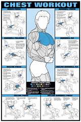 Pictures of Free Weight Workouts