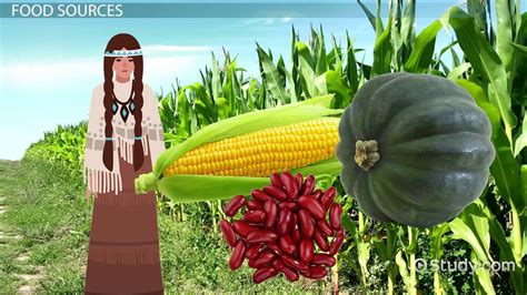 Native American Foods History Culture And Facts Lesson