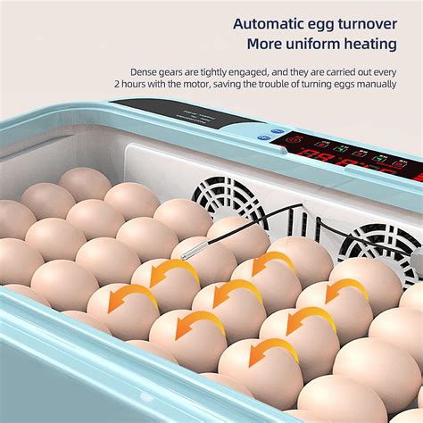 Egg Incubators For Chickens Incubators For Hatching Eggs Automatic