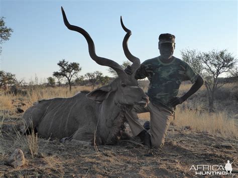 Kudu Hunt In Namibia