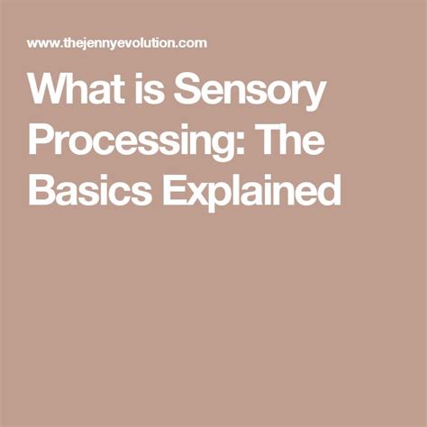 What Is Sensory Processing The Basics Explained Sensory Processing