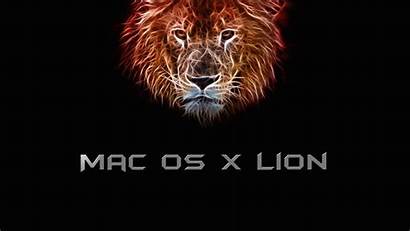 Lion Os Mac Wallpapers Background 4k Desktop