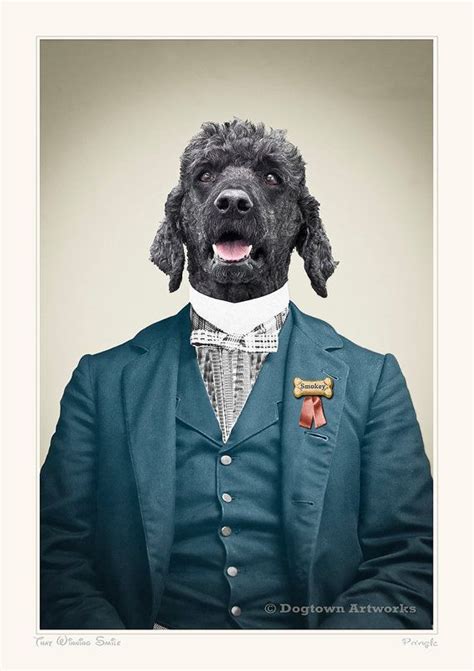 Download the perfect funny pet pictures. Clive was a bit of a dandy, always making sure his clothes ...