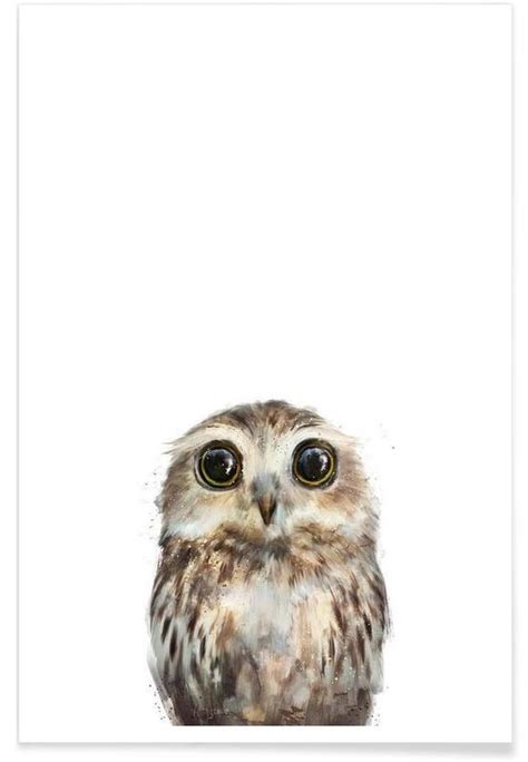 Little Owl Illustration Poster Juniqe