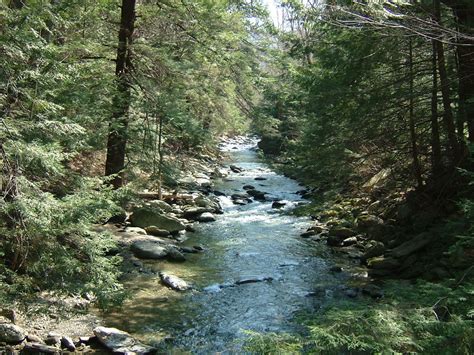 We did not find results for: Taconic State Park (Copake Falls) | Copake Falls, NY 12517