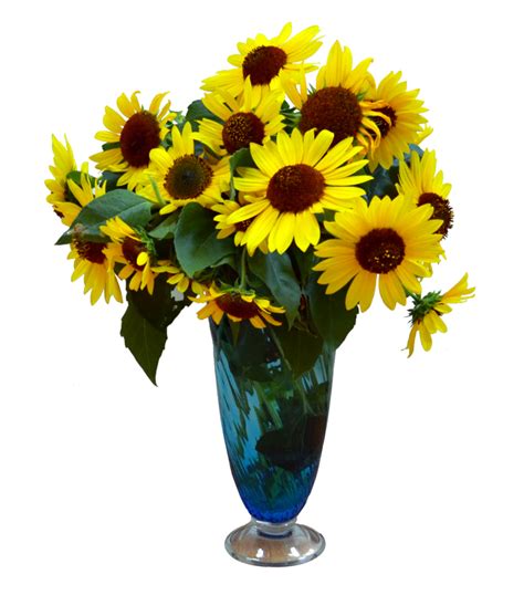 Flower Vase Download PNG Image | PNG Mart gambar png