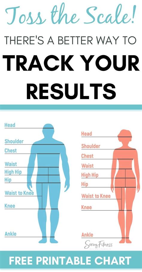 How To Use A Body Measurement Chart Printable For Men And Women Body