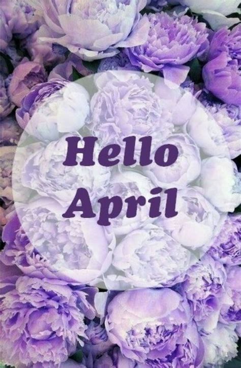 Purple Flowers Hello April Quote Pictures Photos And Images For