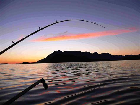 Fishing Wallpapers High Quality Download Free