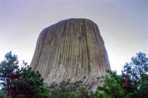 Re Devils Tower Petrified Stump Of Giant Tree Tree Of Life Graham