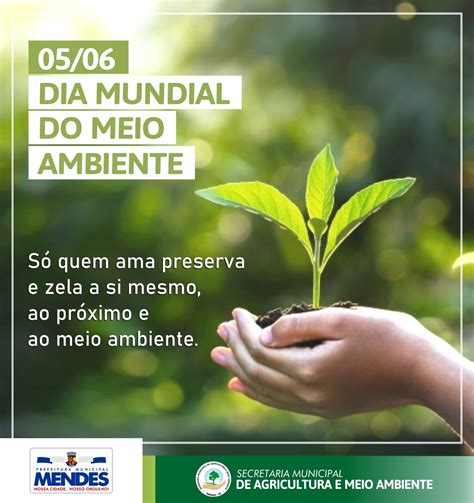 caridade cidade primeiros dia meio ambiente relâmpago eletricista expressão