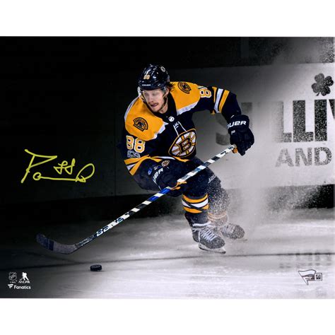 David Pastrnak Boston Bruins Autographed 11 X 14 Spotlight Photograph