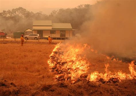 Prepare Now For Grassfire Risk This Summer Cfa Country Fire Authority