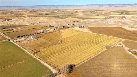 Irrigated Farm Land For Sale