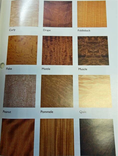 Wood Veneer Sample Species Color Picture Photo Guide 80 Pages Etsy