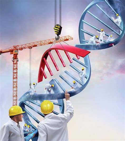 Genetic Engineering Photograph By Smetekscience Photo Library