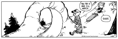 Calvin And Hobbes By Bill Watterson For January 13 1989