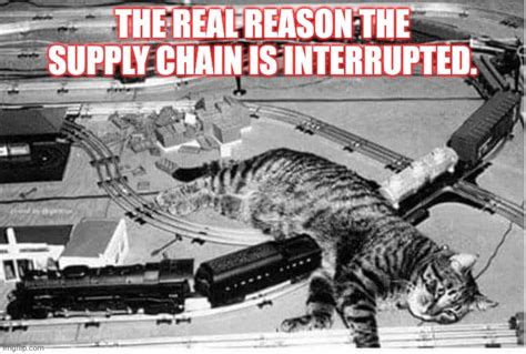 Cats Supply Chain Imgflip