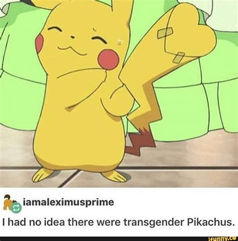 Iamaleximusprime I Had No Idea There Were Transgender Pikachus Ifunny Pokemon Memes