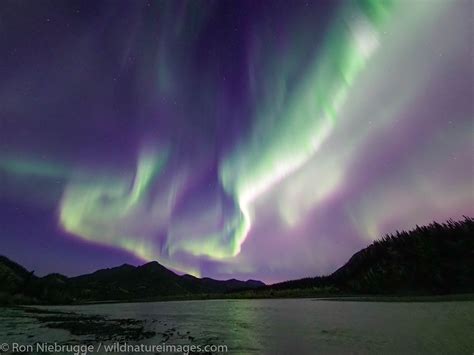 Aurora Borealis | Brooks Range, Alaska. | Ron Niebrugge Photography