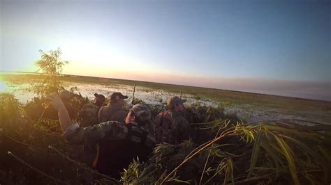 Millon Ducks In Argentina With Pointer Wingshooting Youtube