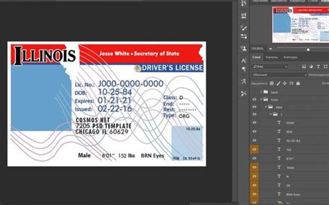 Illinois Driver License Psd Template Mr Verify