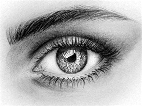 Learn To Draw Realistically The Eye One River School Evanston
