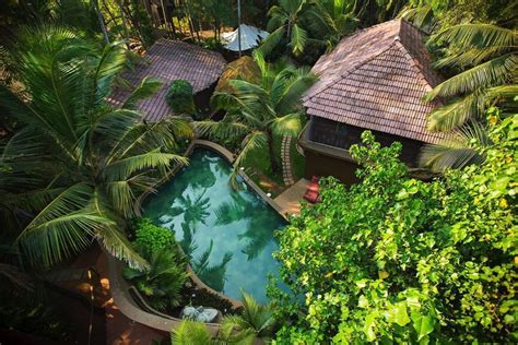 12 Rejuvenating Yoga Retreats And Wellness Resorts In Goa Wellness Resort Yoga Retreat Goa