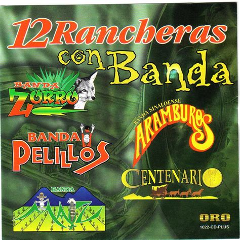 Banda Zorro Mejores Canciones Discograf A Letras
