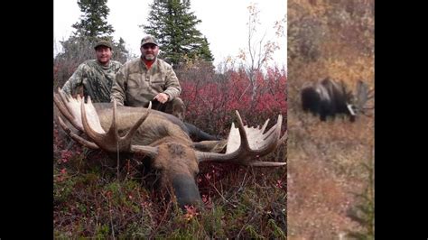 Alaskan Yukon Bull Moose 1 Shot Instant Kill 62 Inchs Youtube