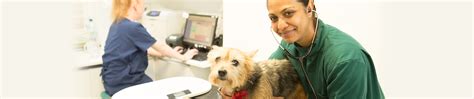 Today, we are an ace medical team. Join Us - Animal Clinic Veterinary Surgery