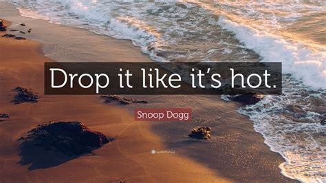 Snoop Dogg Quote Drop It Like Its Hot 12 Wallpapers Quotefancy