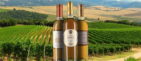 4 Most Popular Tuscan White Wines Tasteatlas