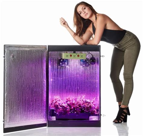 Best Grow Box For Beginners 2022s Reviews And Buying Guide