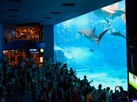 Okinawa Churaumi Aquariumjapan