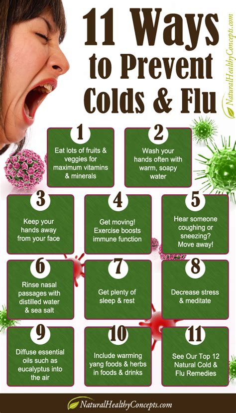 Best Way To Prevent A Cold Just For Guide