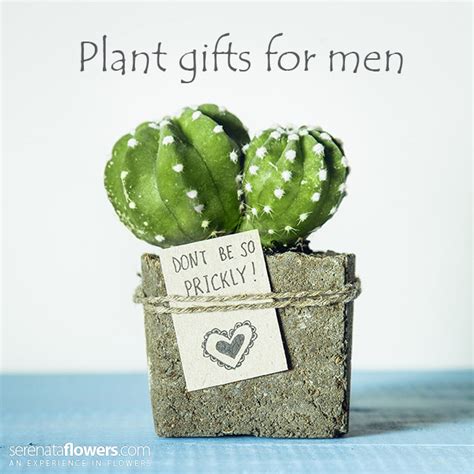 Best gifts for plant moms. Plant Gifts for Men - Surprising gift options even men enjoy!