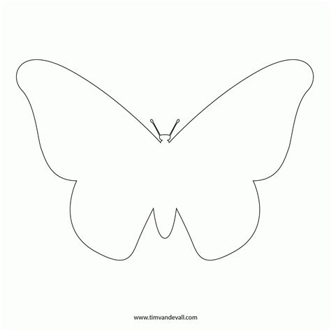 Download Butterfly Outline Coloring Pages - Coloring Home