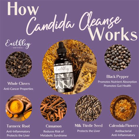 candida cleanse for fighting yeast and parasites earthley wellness