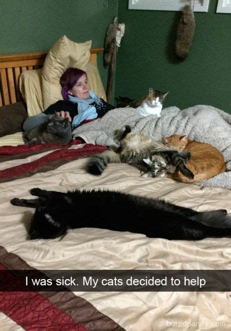 these snapchats of cats loving their humans remind us why we adore them so much funny cat