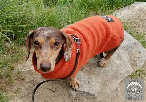Miniature Dachshund Red Fleece With Ruffle Dog Coat Pet Jackets