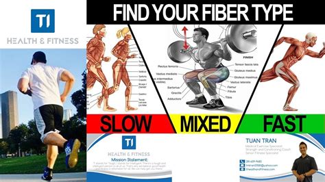 Jogging Vs Sprinting Slow Twitch Vs Fast Twitch Muscle Fibers For A