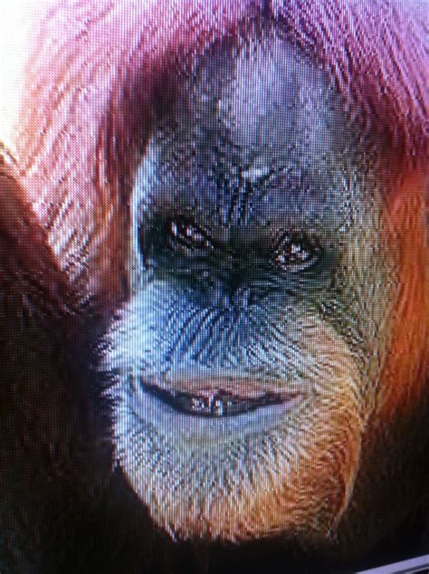 This is obviously some sort of down syndrome monkey. An Ape! Down Syndrome Orang-utan? He looks so cute ...