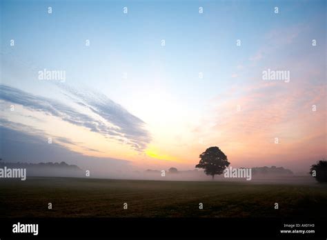 Lone Oak Tree With Dramatic Early Morning Sky Stock Photo Alamy