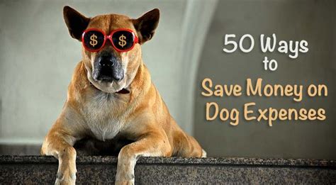 And with all the research coming out about food ingredients and how they affect a dog's well to keep your dog and your budget healthy, always measure the amount of food you serve your dog. 50 Ways to Save Money on Dog Expenses - Chasing Dog Tales