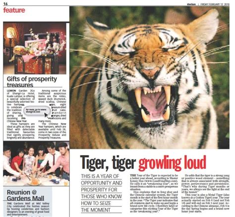 12 02 2010 The Sun Newspaper Tiger Tiger Glowling Loud