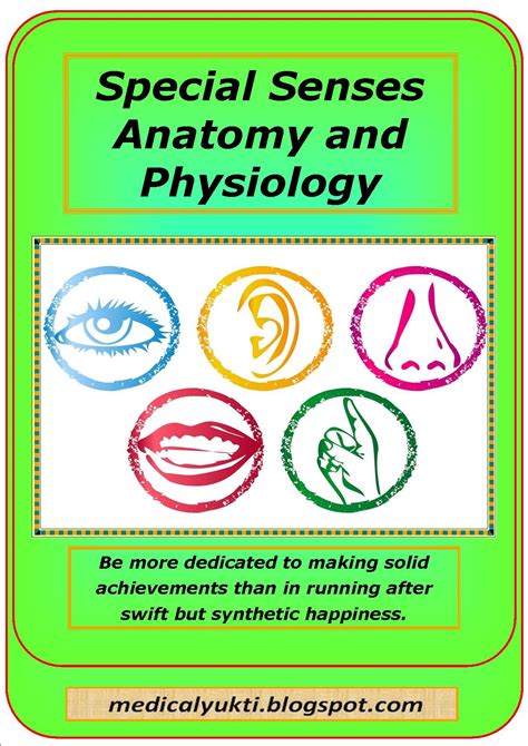 Special Senses Anatomy Physiology Anatomy And Physiology Physiology
