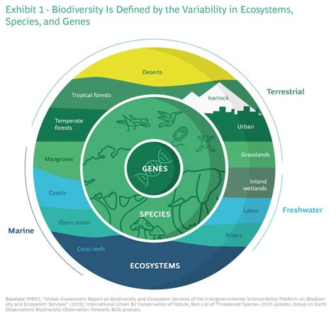Biodiversity And Business Why It Matters Vcp Travel