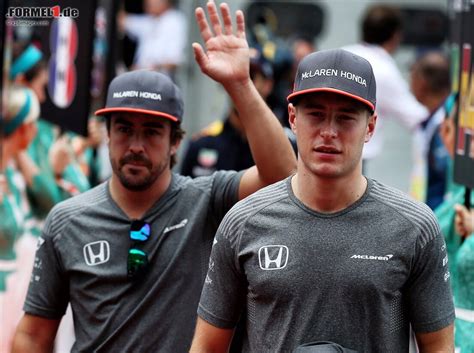 Die grand prix rennfahrer und teams im porträt bei rtl.de. Stoffel Vandoorne: Alonso nicht so unbequem, wie alle ...
