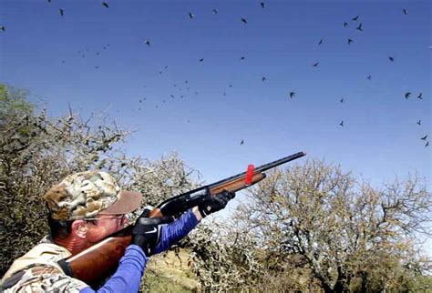 Estancia La Catalina Argentina Bird Hunting